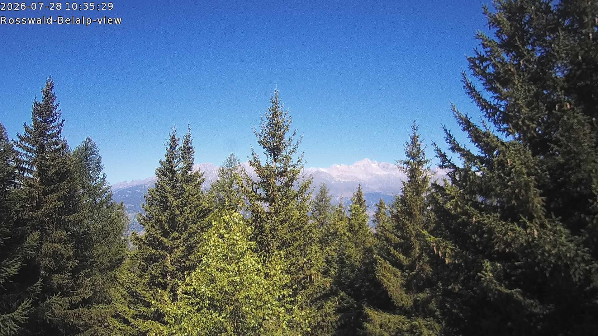 Rosswald › Nordwesten: Belalp