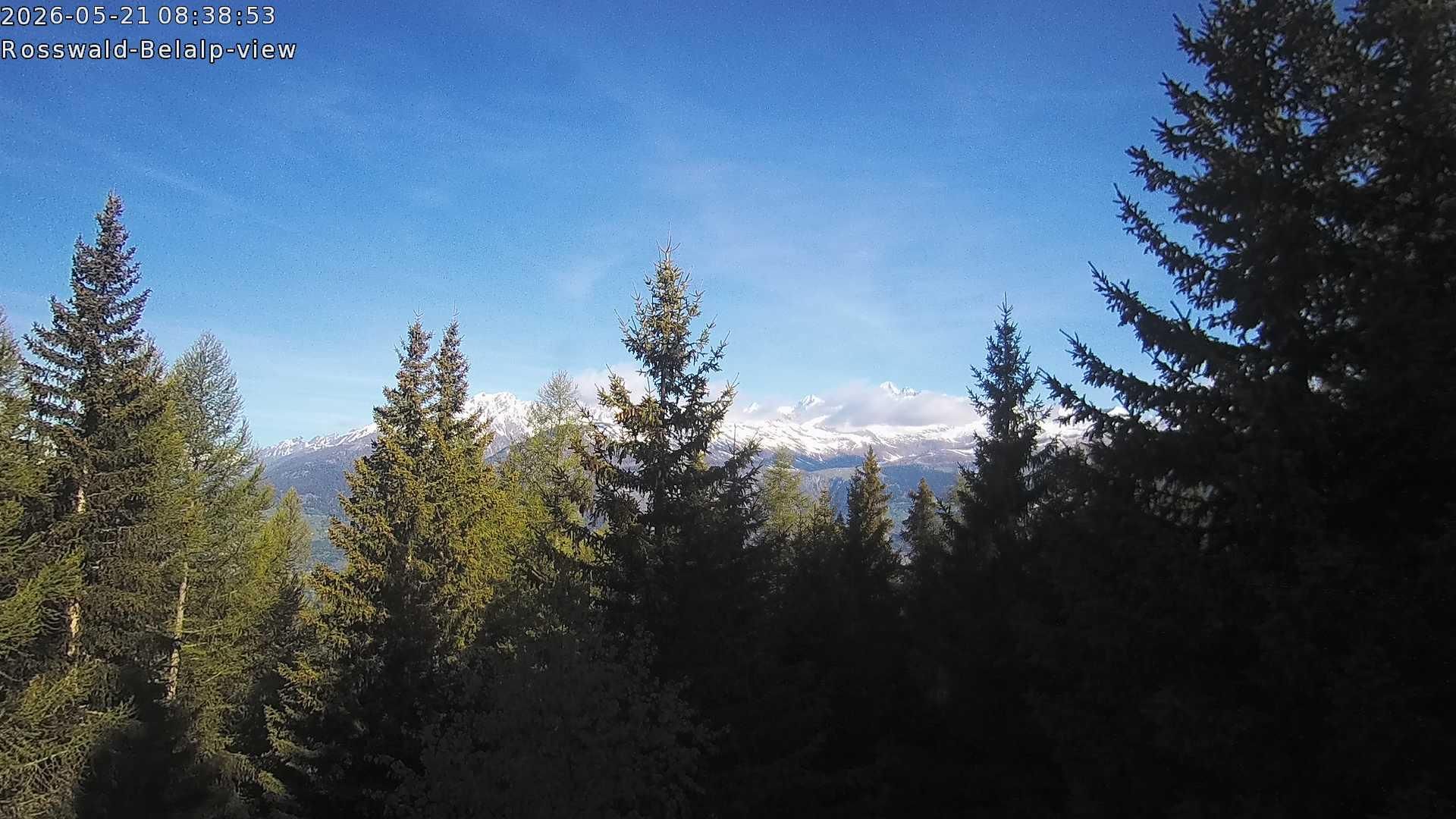 Rosswald