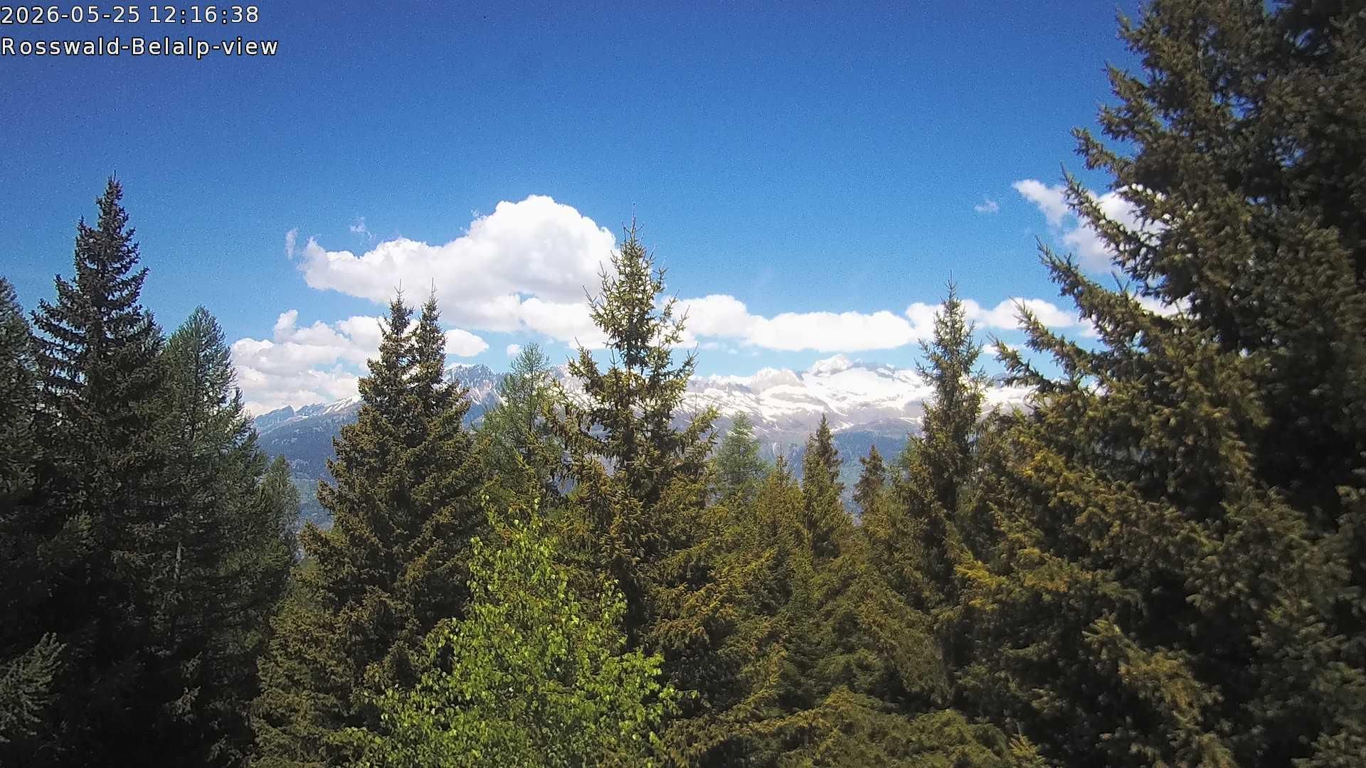 Rosswald