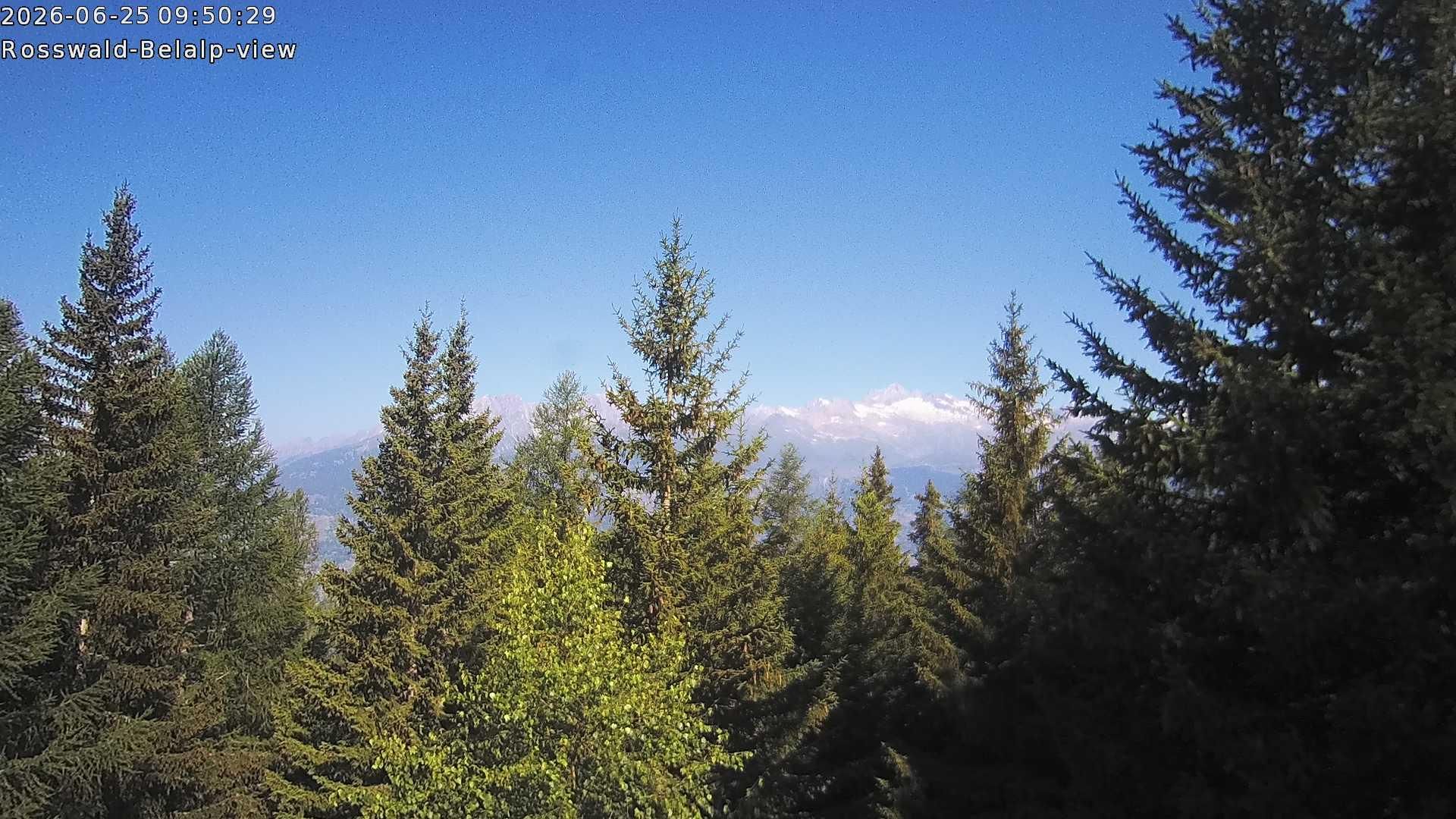 Rosswald