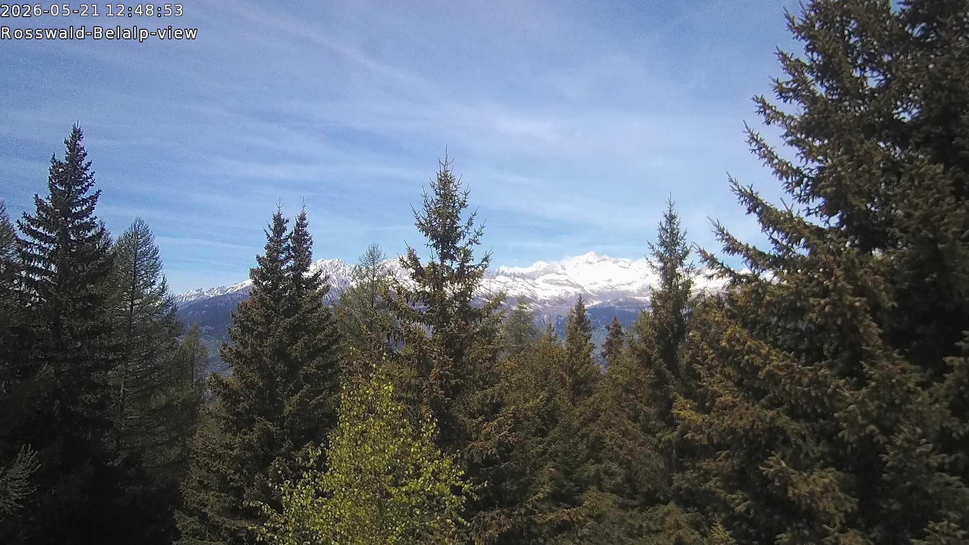 Rosswald