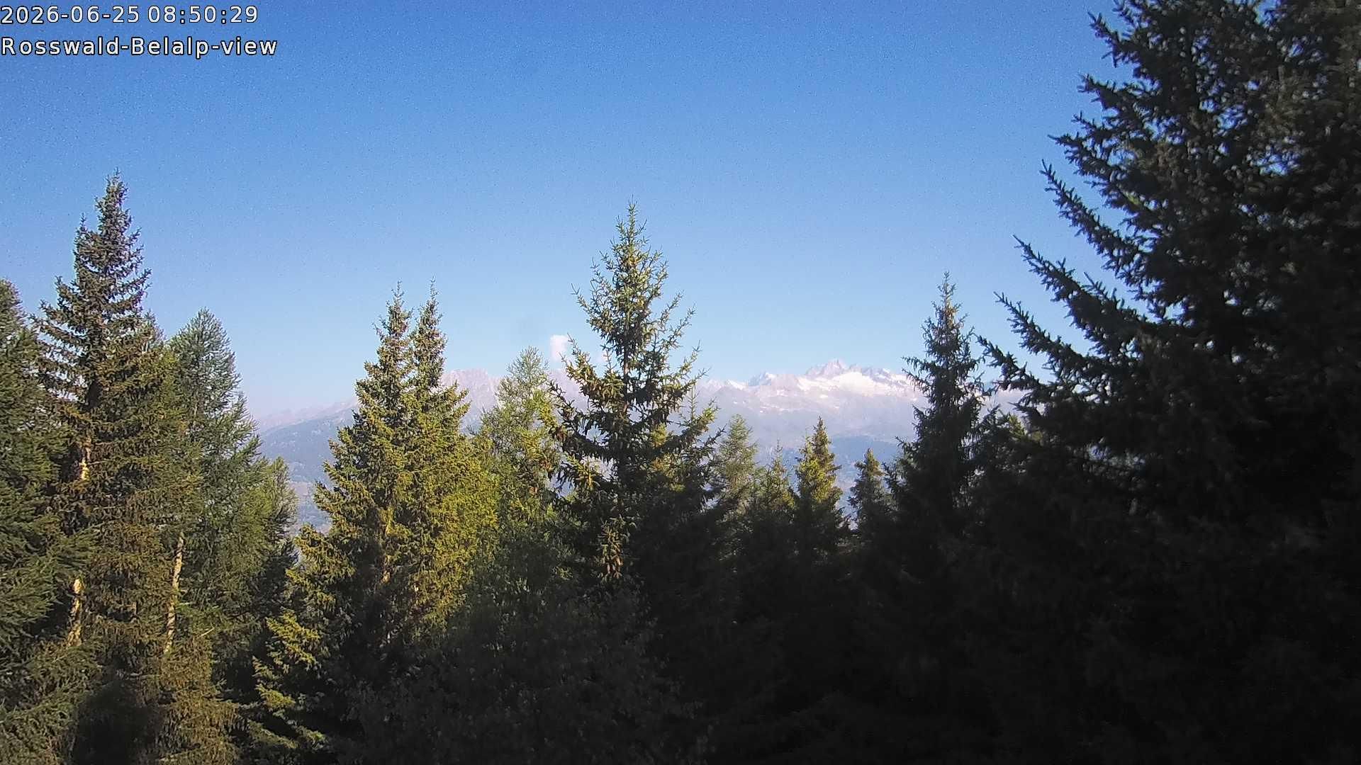 Rosswald