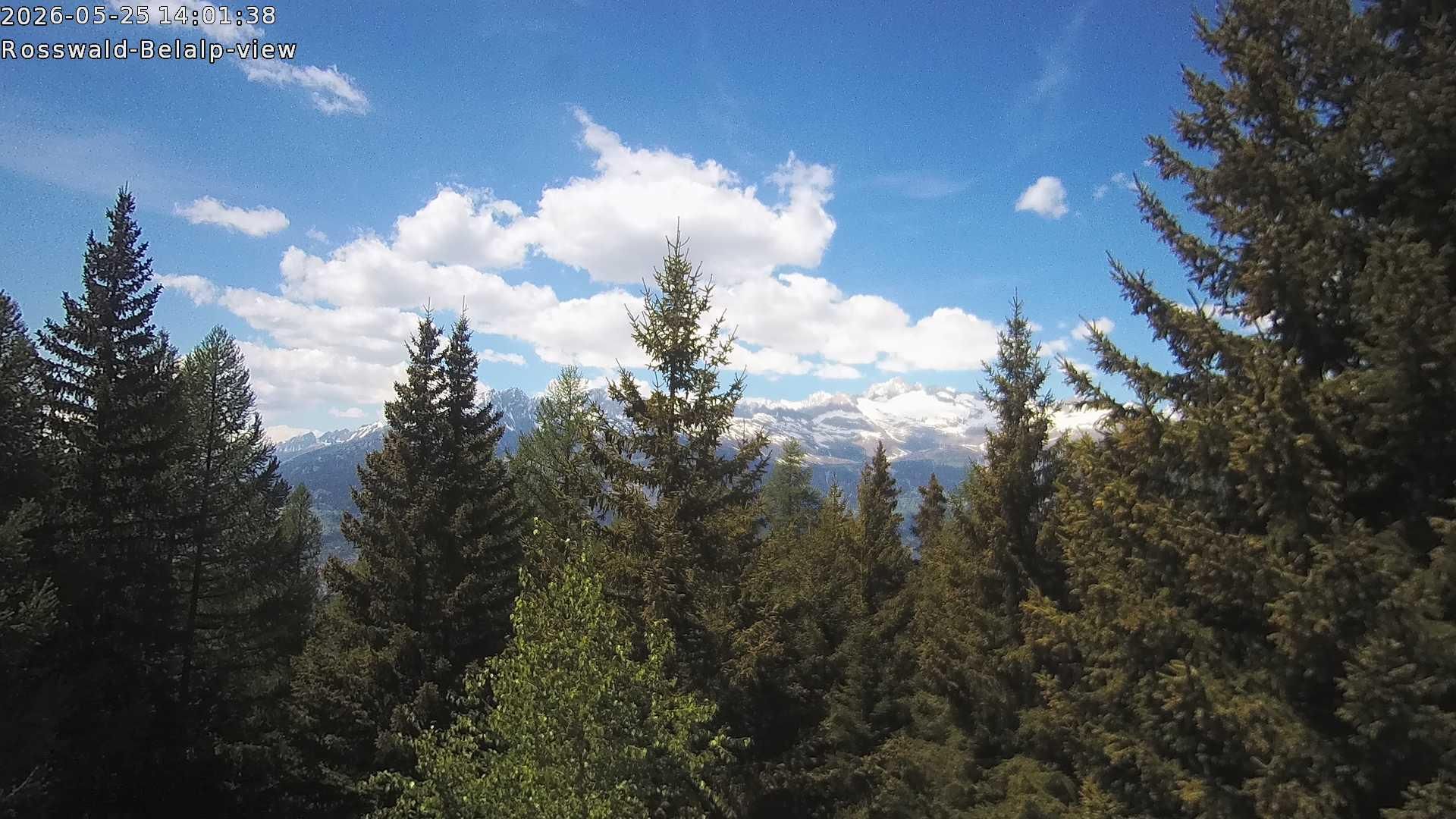 Rosswald