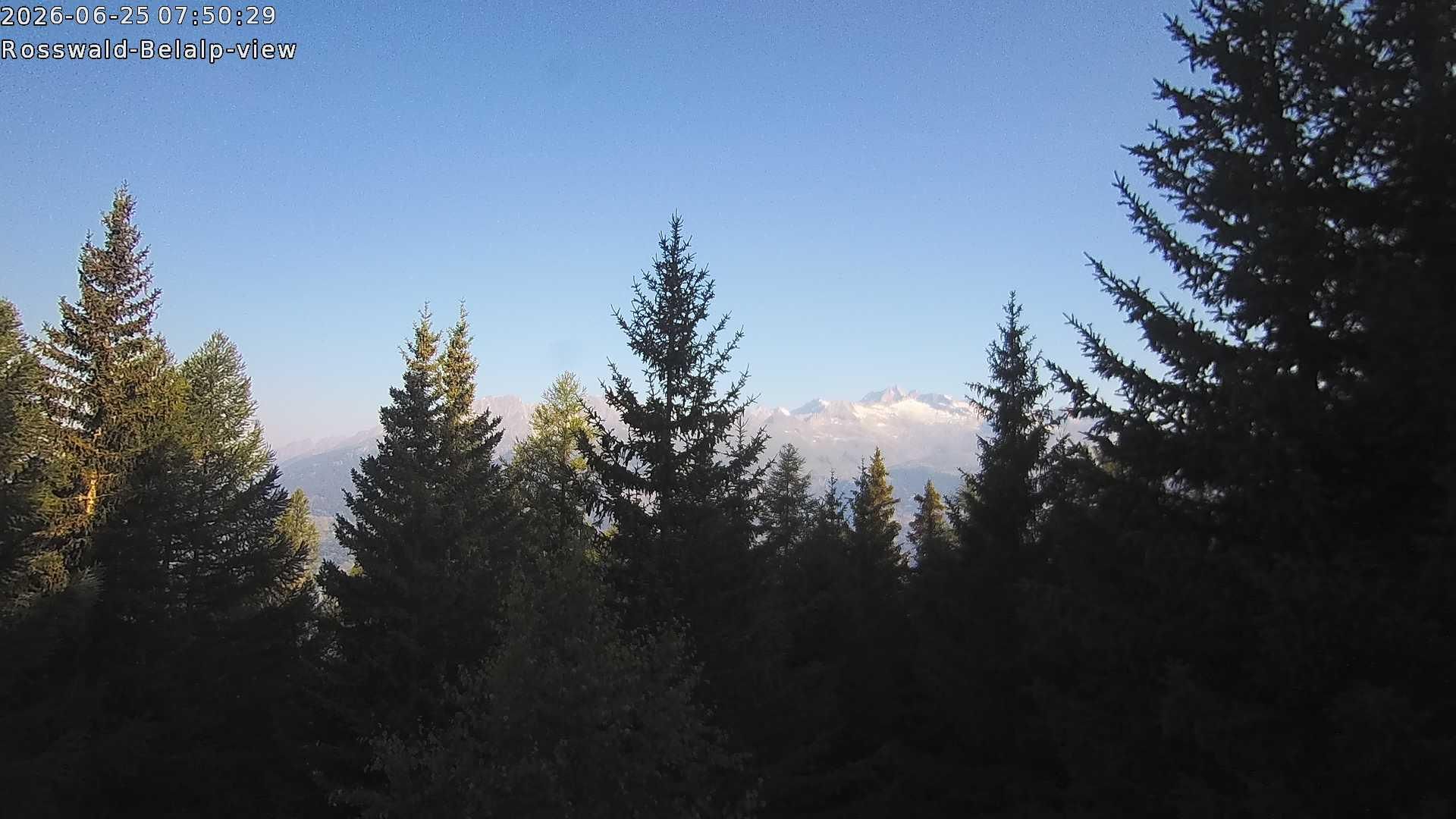 Rosswald