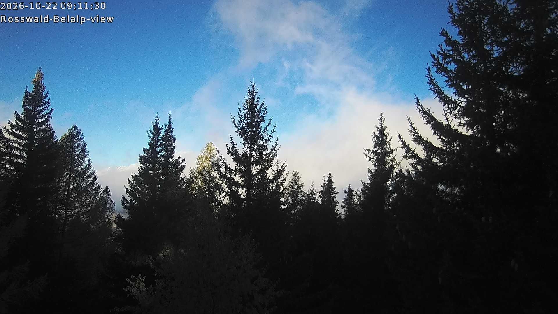 Rosswald › Nordwesten: Belalp