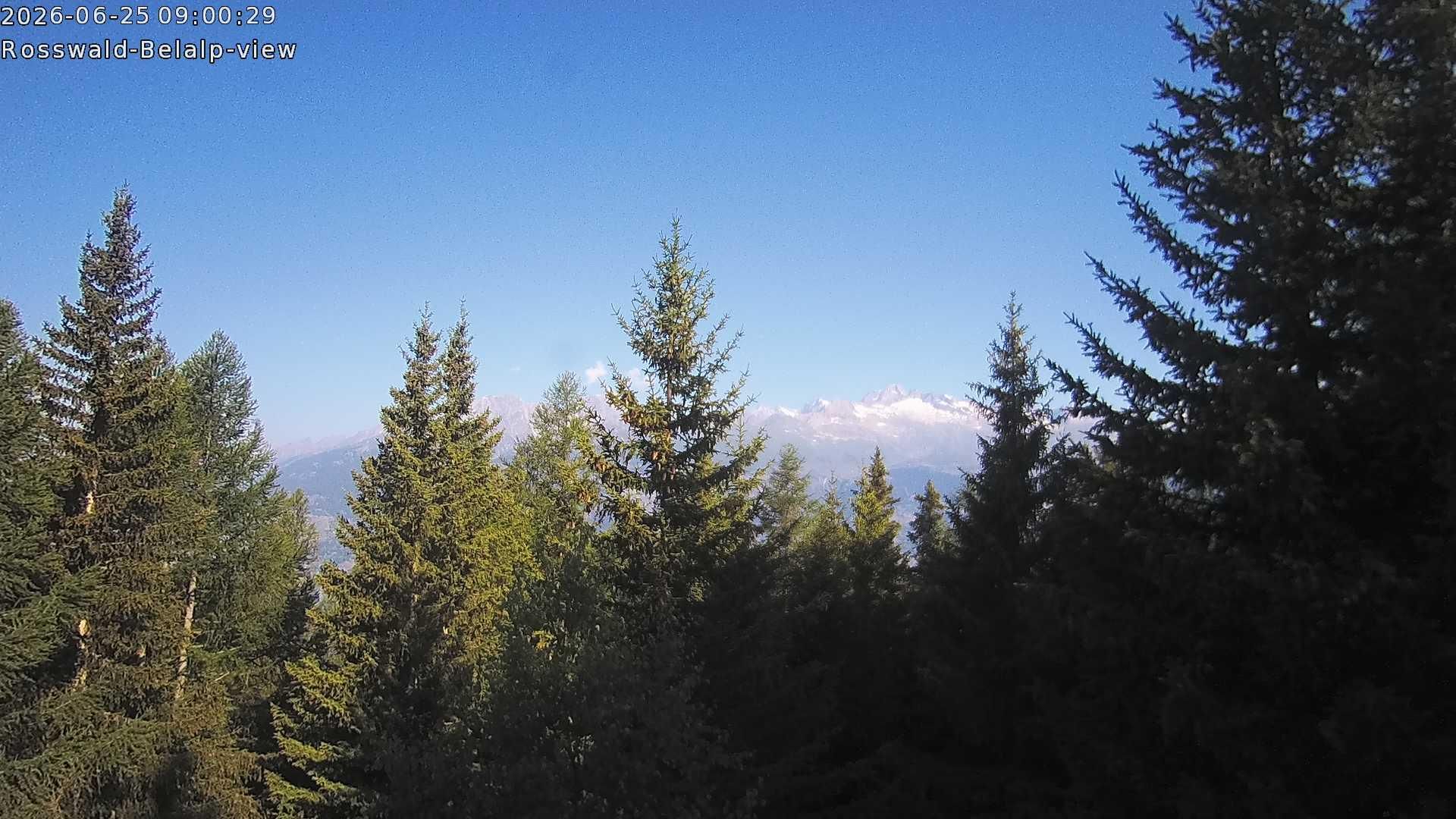 Rosswald