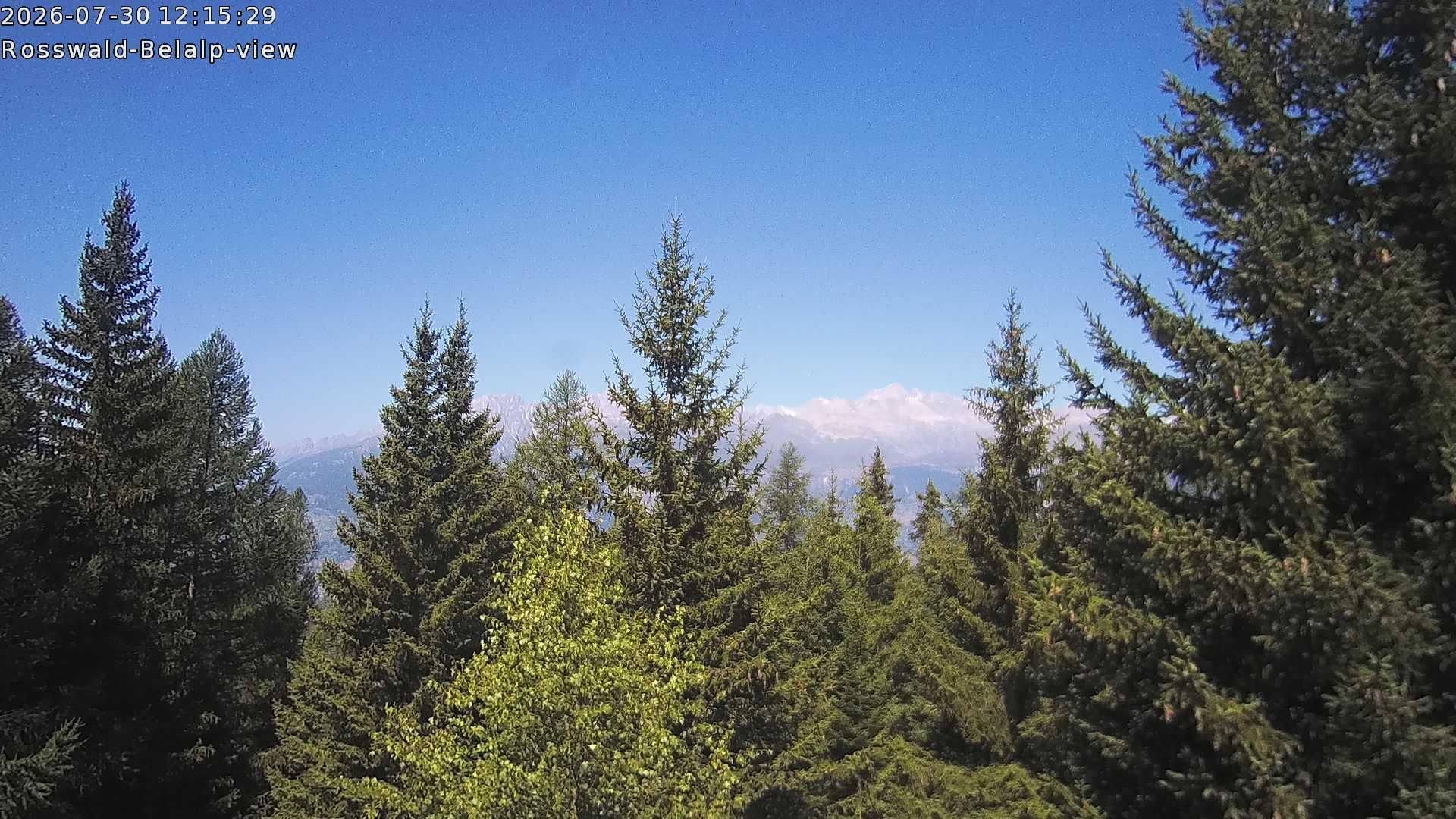 Rosswald › Nordwesten: Belalp