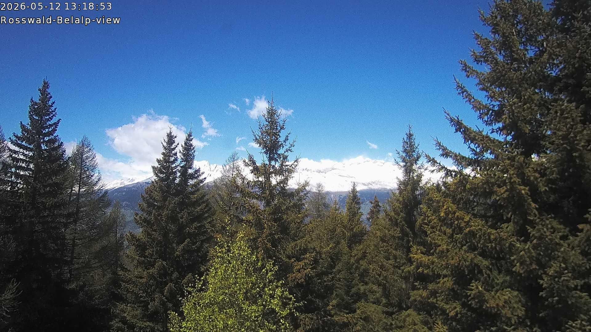 Rosswald