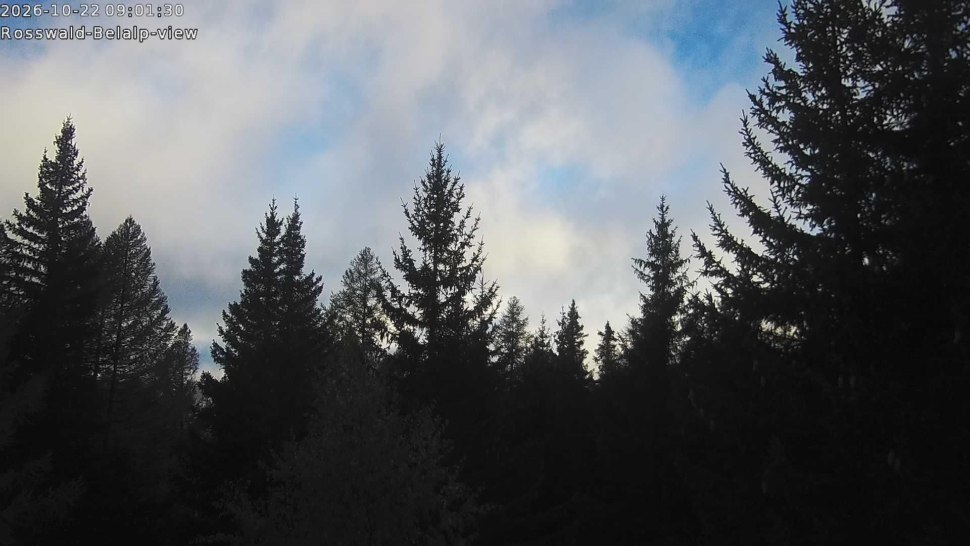 Rosswald › Nordwesten: Belalp