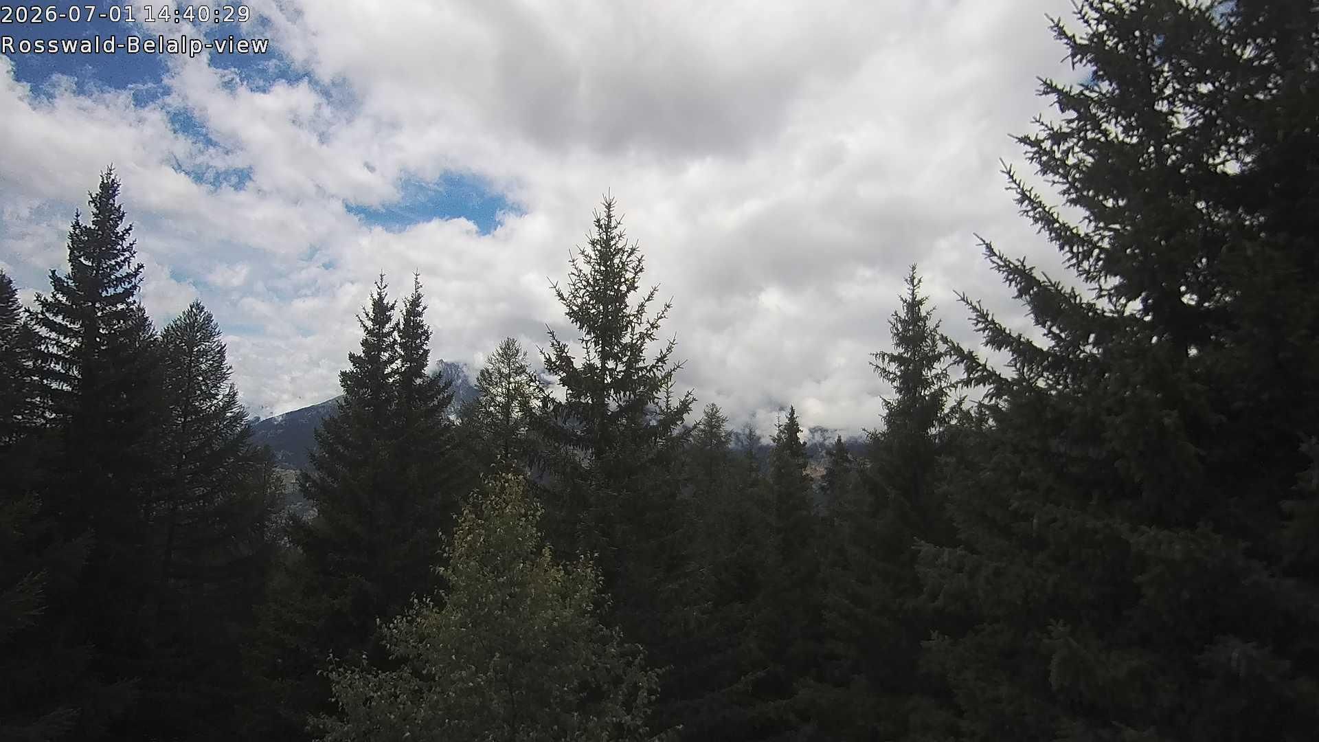 Rosswald