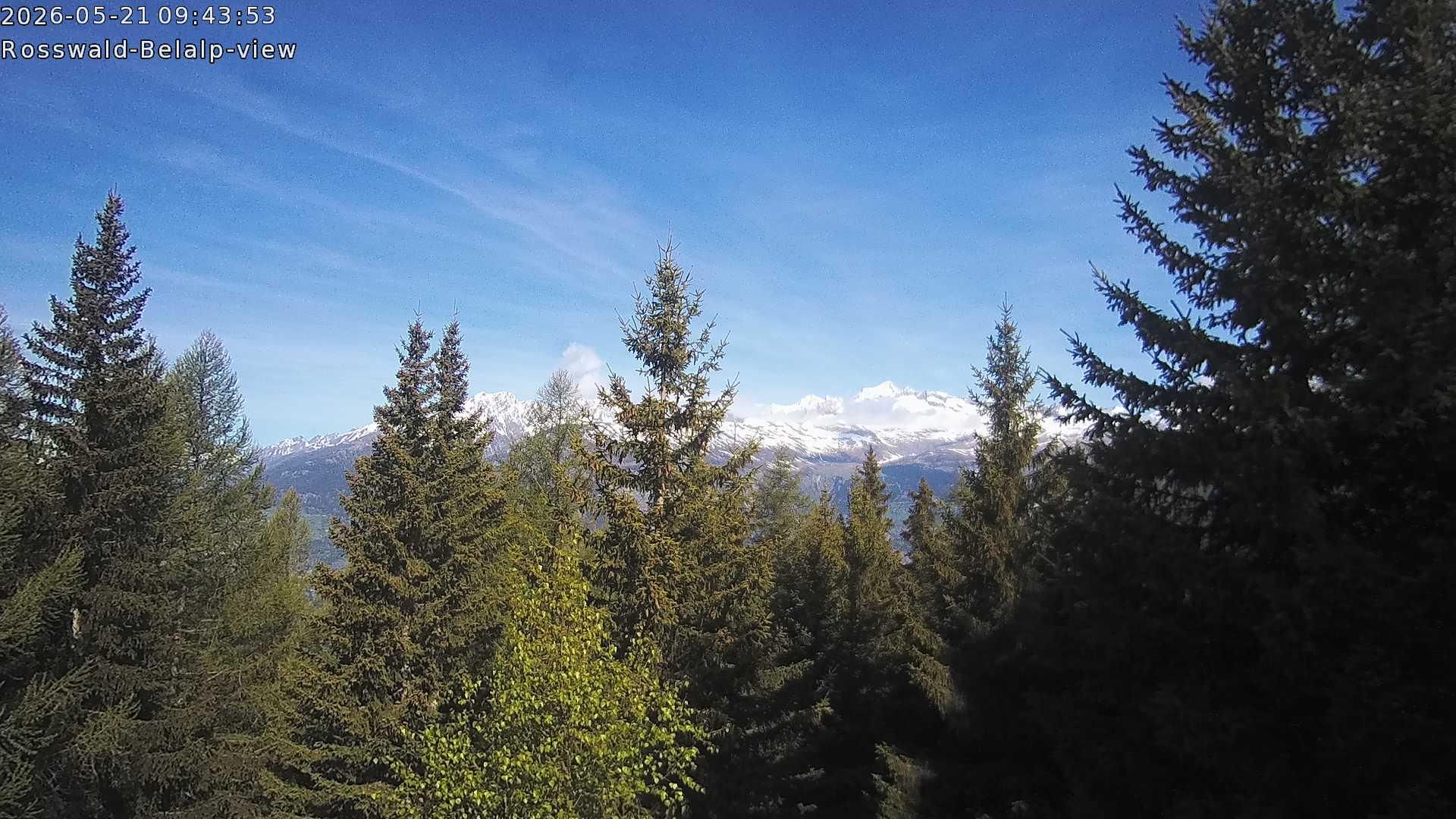 Rosswald