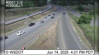 Nisqually Traffic and Landscape