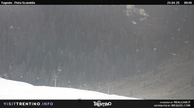 Preview delle webcam di San Martino di Castrozza: Malga Tognola - San Martino