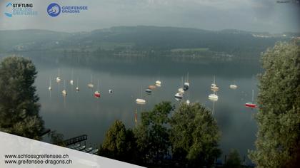 Greifensee › Süd-West: Schloss Greifensee