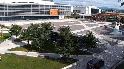 Levis building webcam