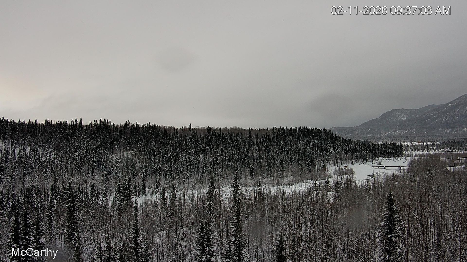 Traffic Cam Unorganized Borough › South