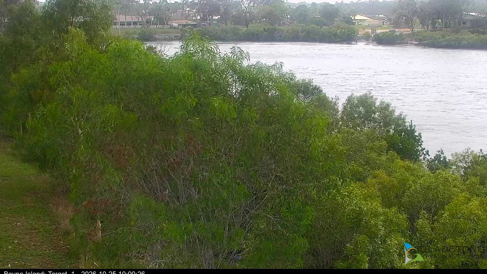 Gladstone webcam