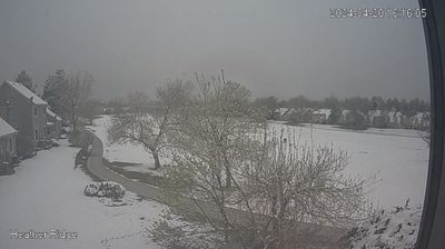 Webcam en vivo Aurora - ahora mismo