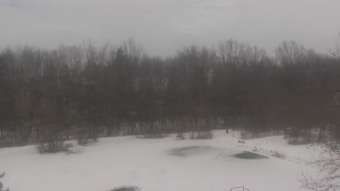 Traffic Cam North Robinson