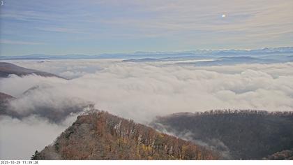 Küttigen › Süd-Ost: › South-East