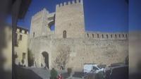 Morella