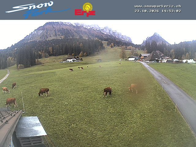 Innereriz › Süden: Sibe Hängste - Mittler Seefeld