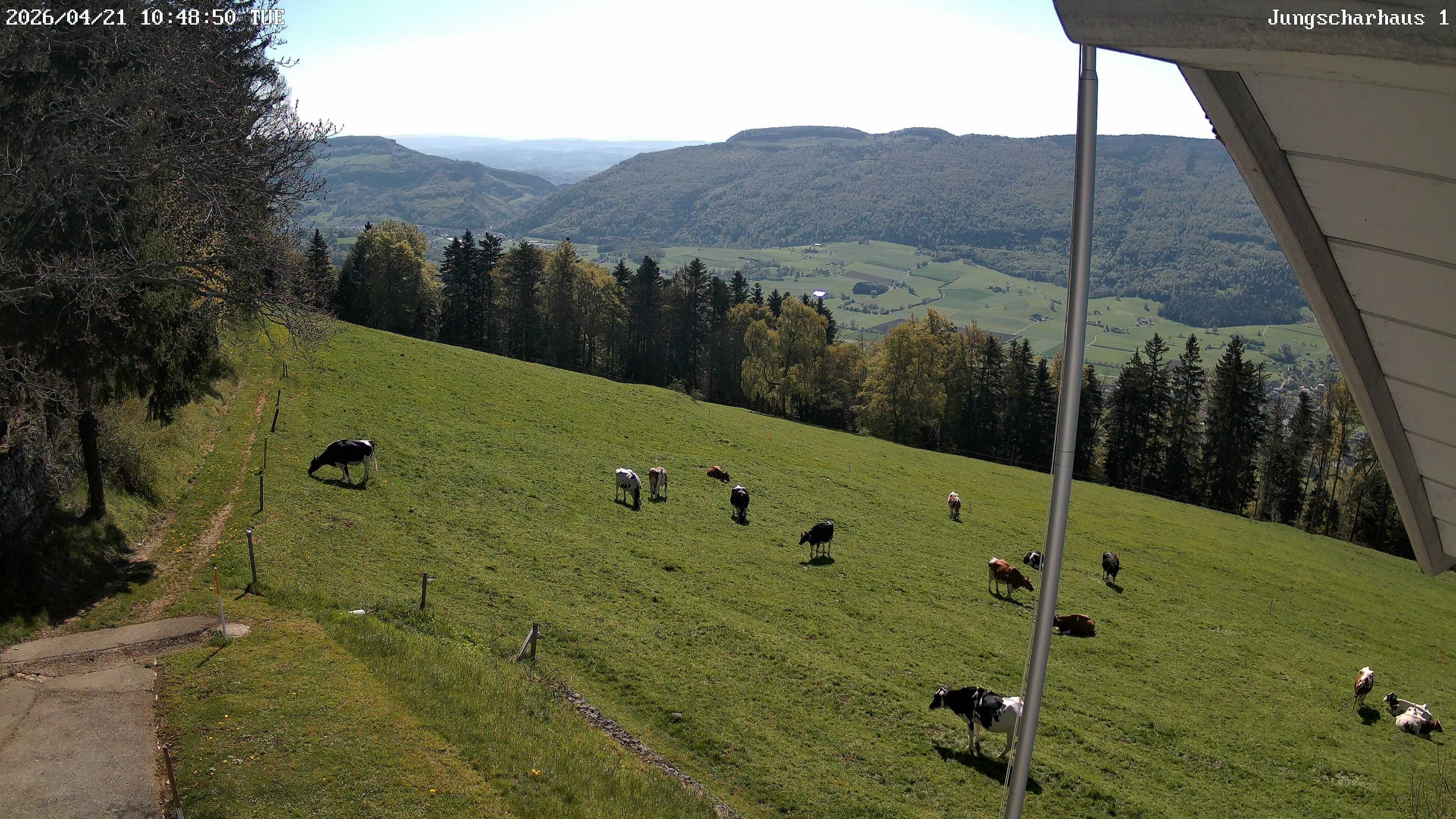 Aedermannsdorf: Gross Brunnersberg - Balsthal