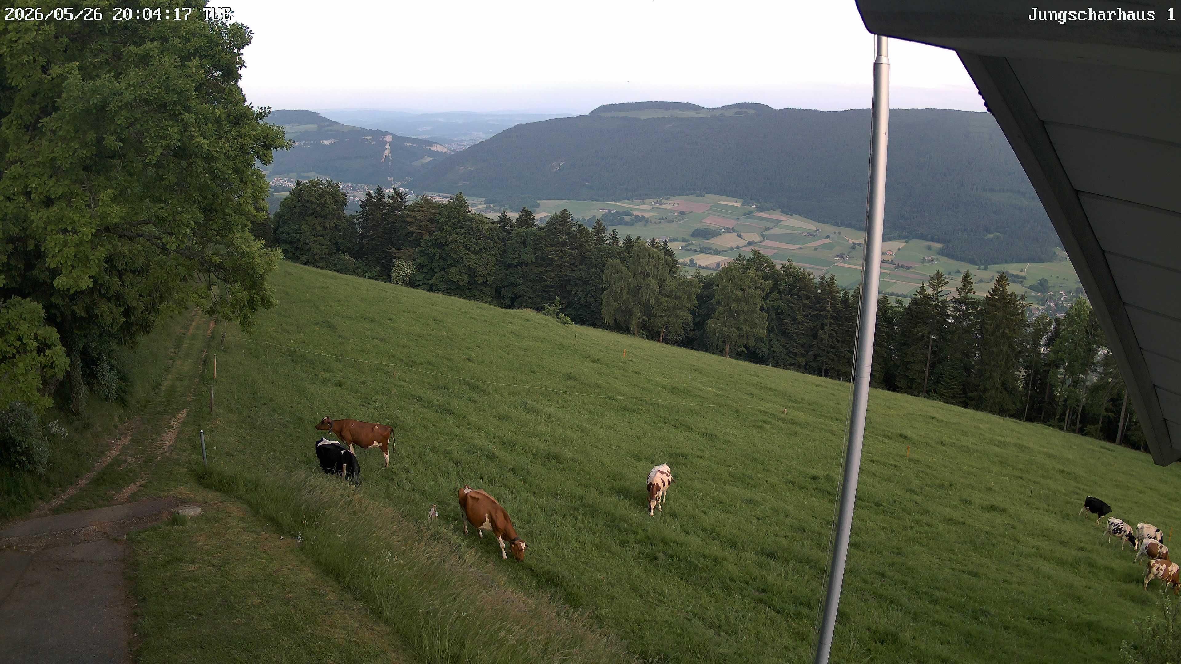 Aedermannsdorf: Gross Brunnersberg - Balsthal