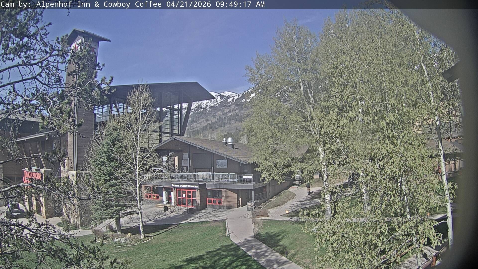 Traffic Cam Jackson: Tram View