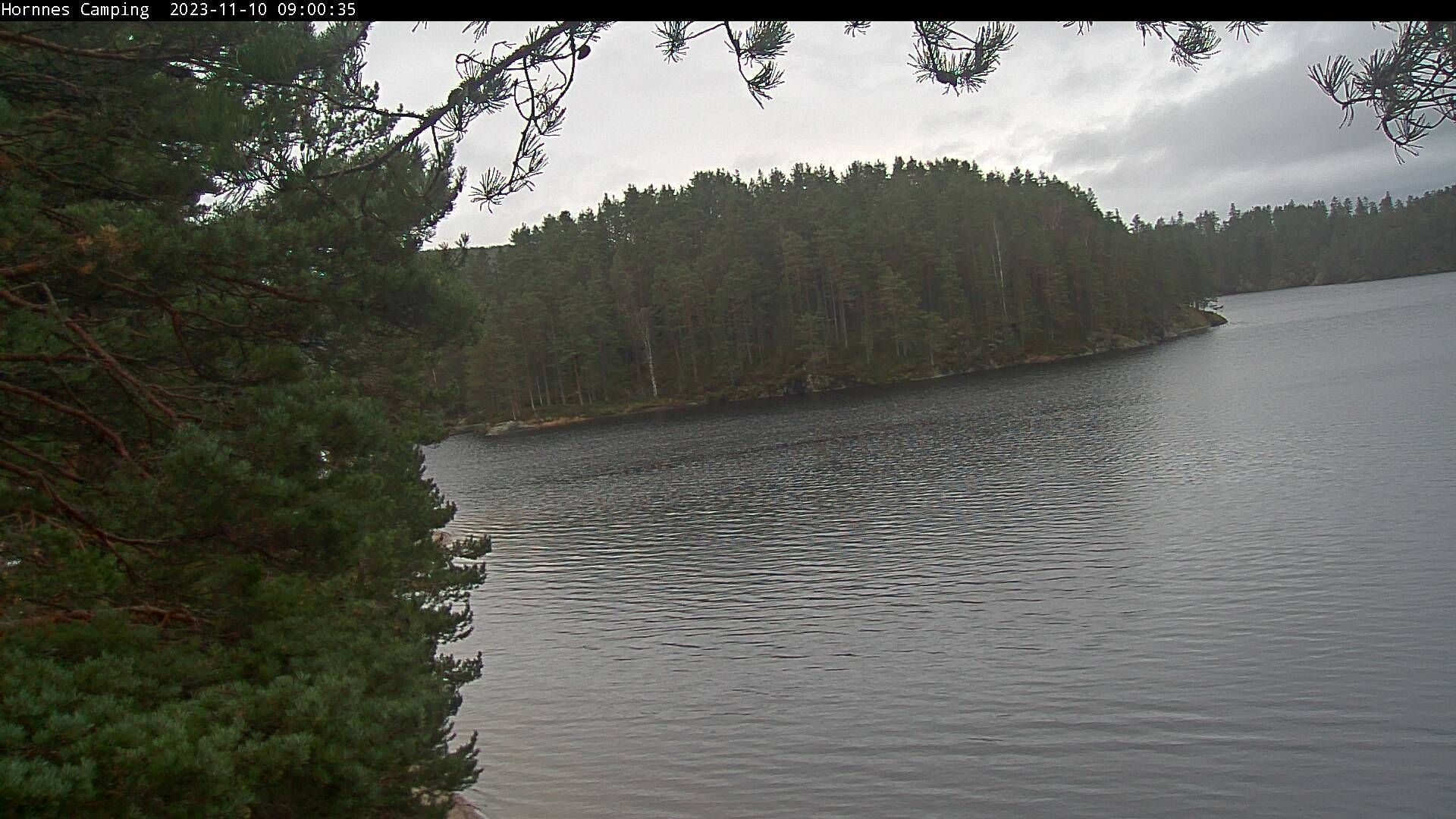 Traffic Cam Hornnes: Camping 2