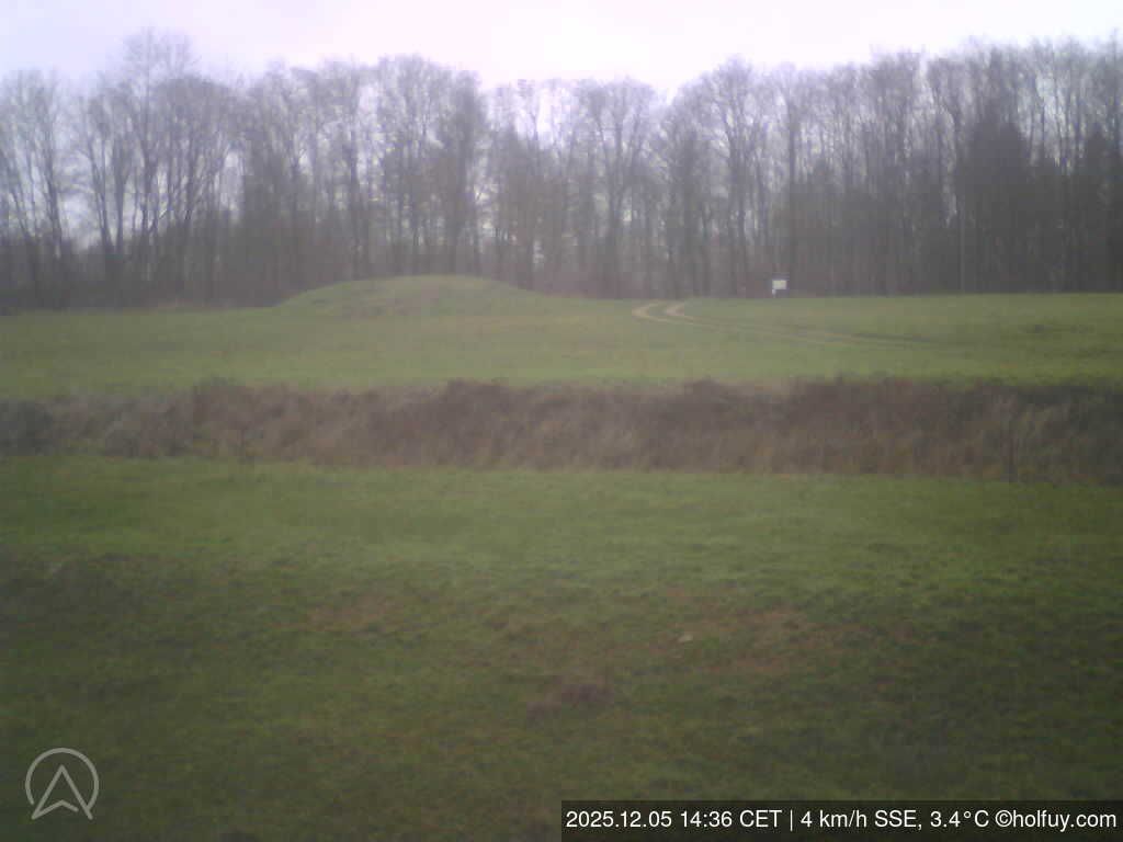 Bessinghausen forest Webcam