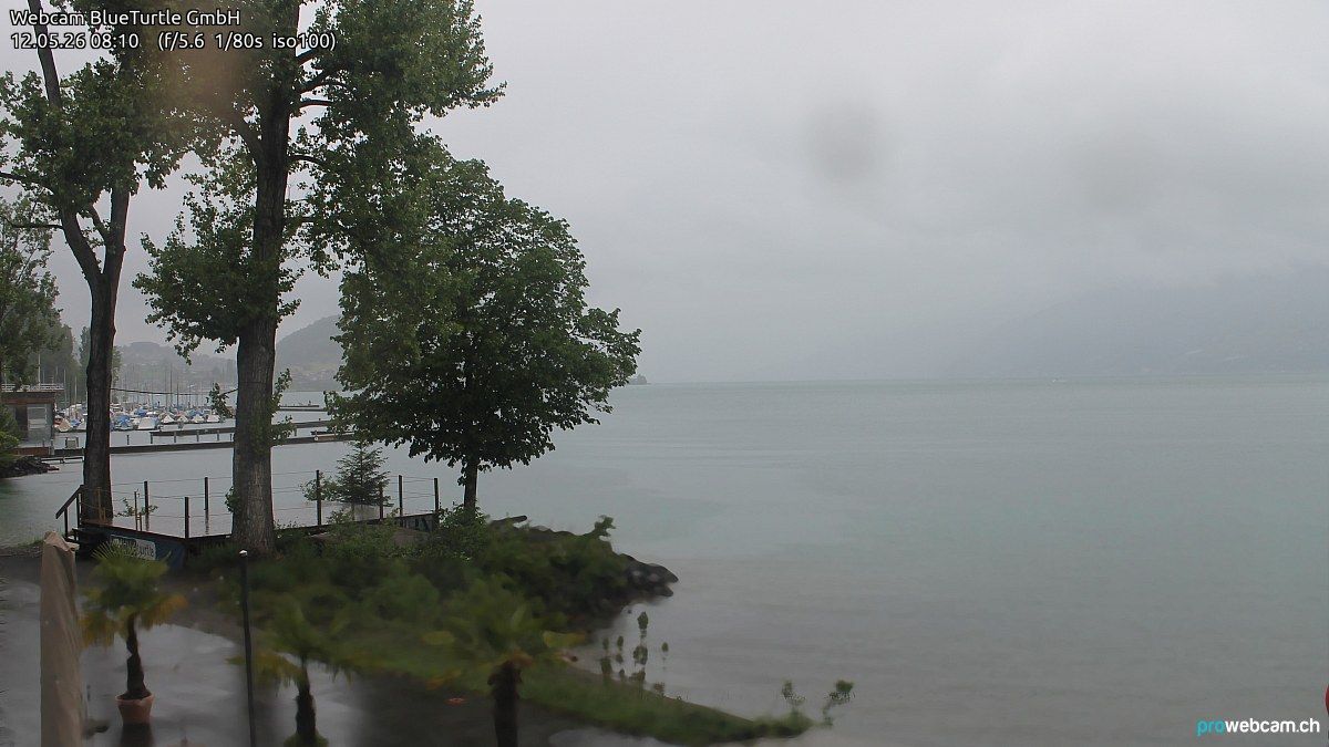 Faulensee: Bern, Schweiz: Thunersee