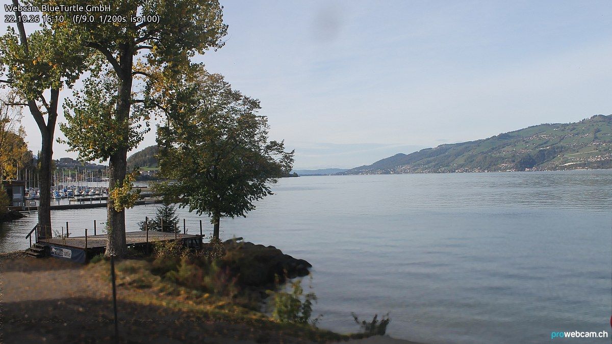 Faulensee › Nordwesten: Kantonaler Hafen Güetital