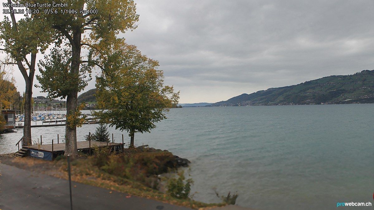 Faulensee › Nordwesten: Kantonaler Hafen Güetital