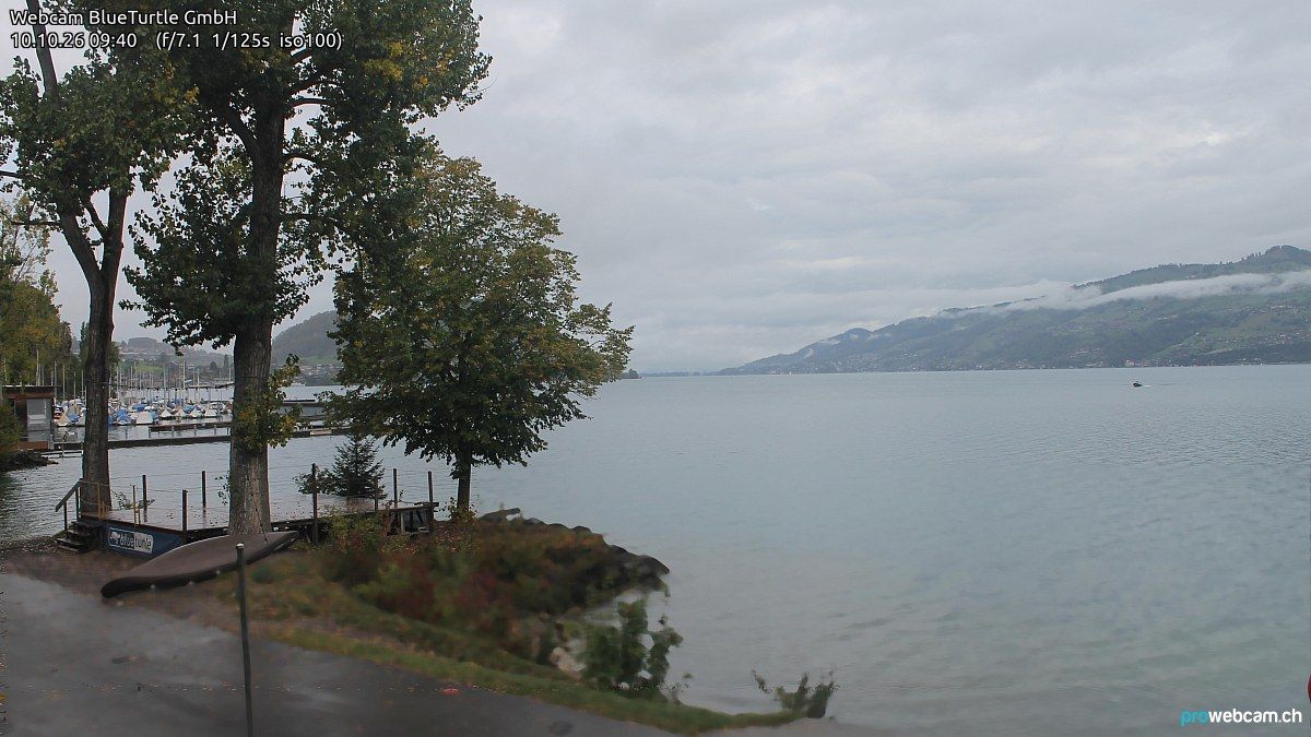 Faulensee › Nordwesten: Kantonaler Hafen Güetital