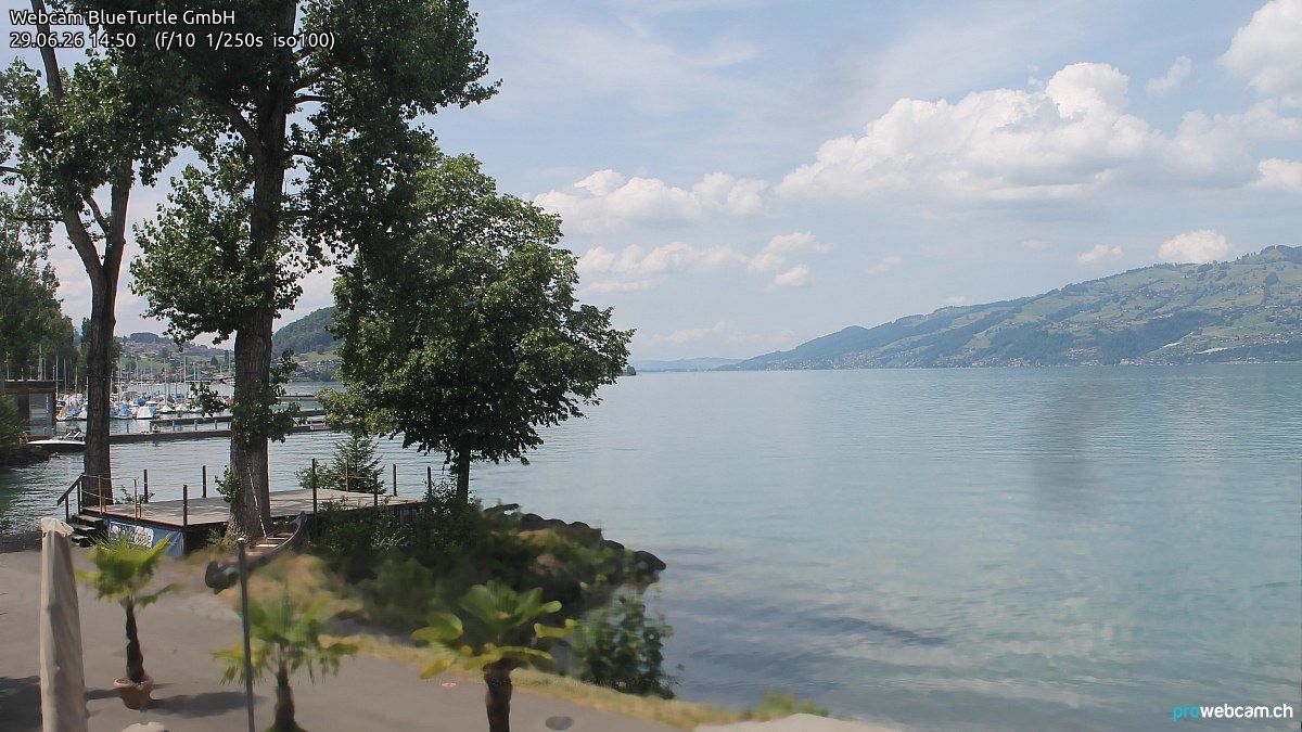 Faulensee › Nordwesten: Kantonaler Hafen Güetital