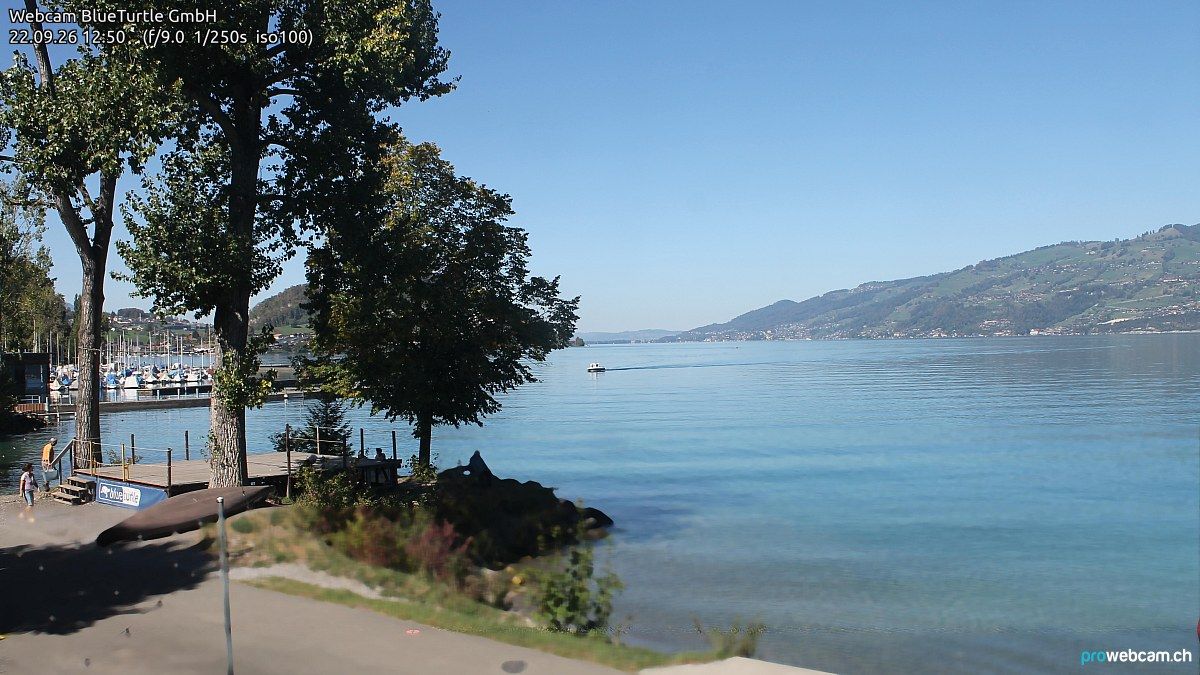Faulensee › Nordwesten: Kantonaler Hafen Güetital