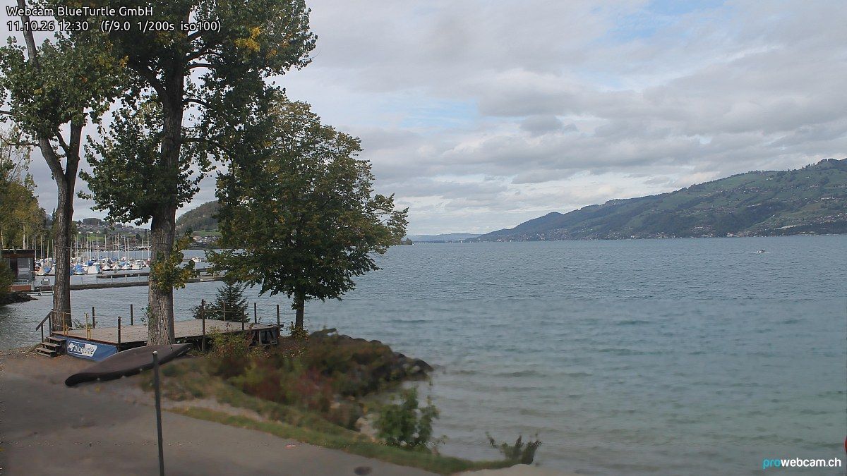 Faulensee › Nordwesten: Kantonaler Hafen Güetital
