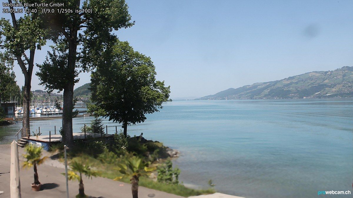 Faulensee › Nordwesten: Kantonaler Hafen Güetital