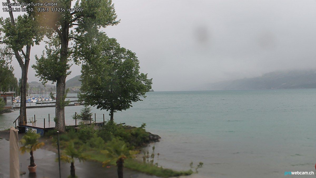 Faulensee: Bern, Schweiz: Thunersee