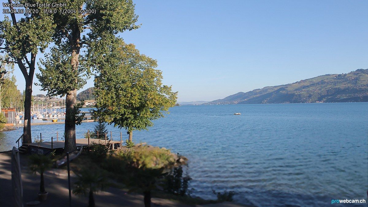 Faulensee › Nordwesten: Kantonaler Hafen Güetital