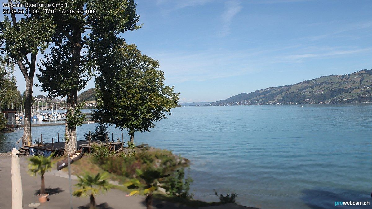 Faulensee › Nordwesten: Kantonaler Hafen Güetital