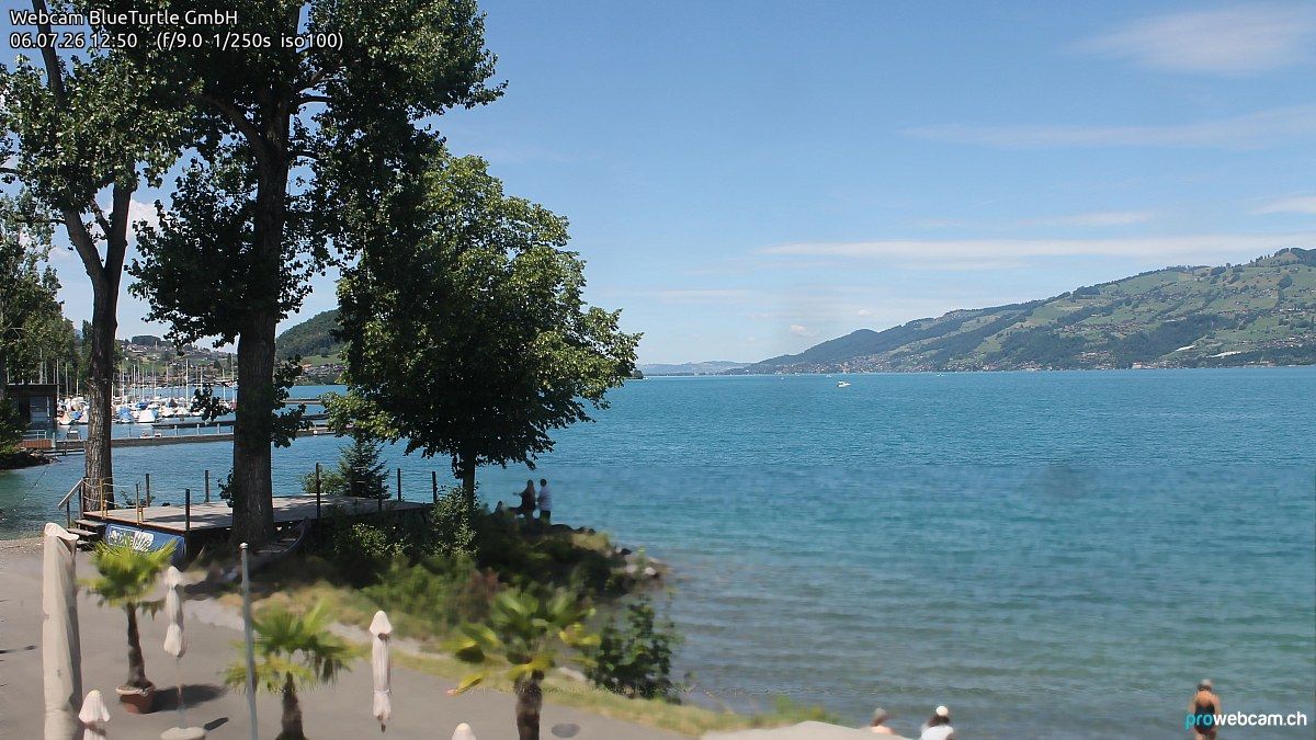 Faulensee › Nordwesten: Kantonaler Hafen Güetital