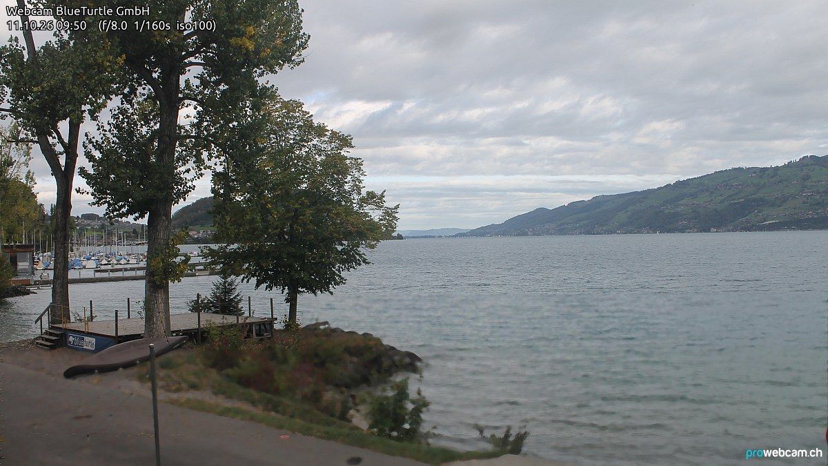 Faulensee › Nordwesten: Kantonaler Hafen Güetital