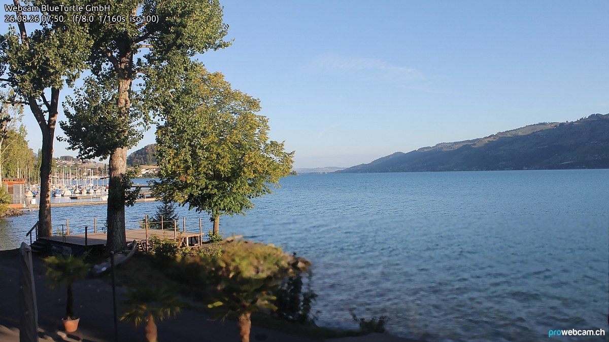 Faulensee › Nordwesten: Kantonaler Hafen Güetital