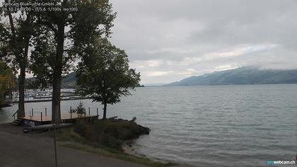 Faulensee: Thunersee