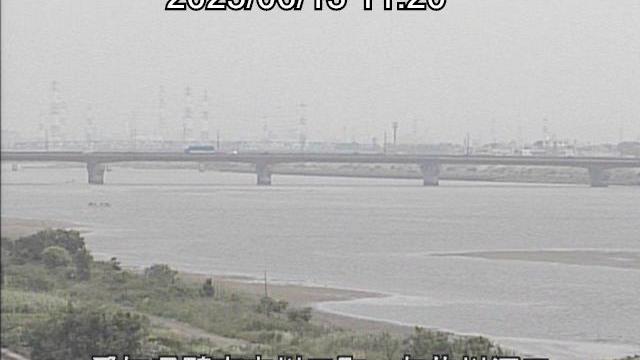 Yahagi River Mouth: Natures Beauty Webcam