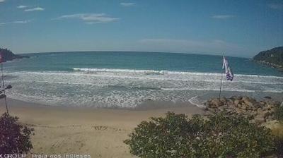 Ingleses Beach: Captivating Coastal Views Webcam