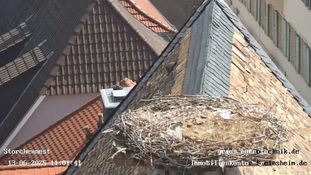 Bissersheim other Webcam