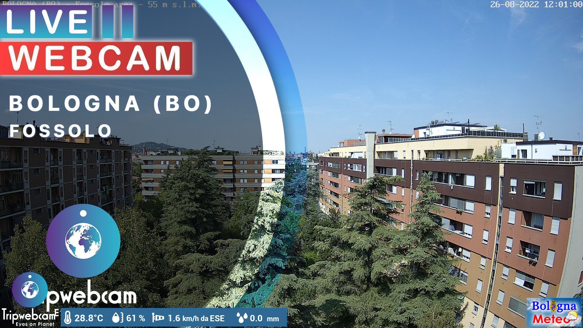 Traffic Cam Bologna